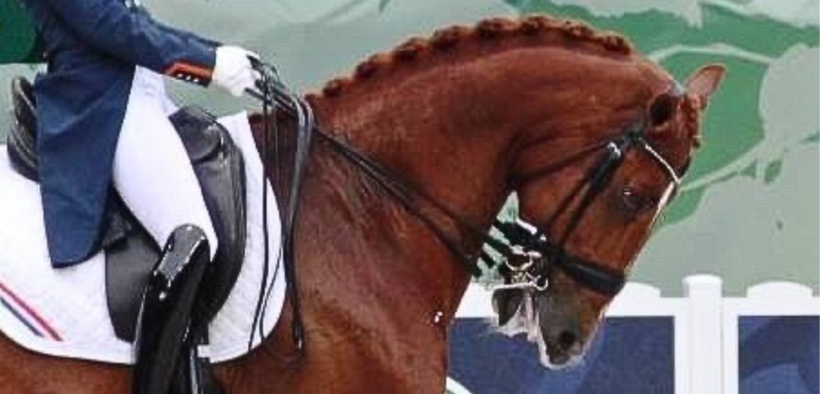 Dressage: in Danimarca ulteriori controlli durante le gare