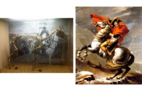 Il celebre cavallo "bianco" di Napoleone era grigio!