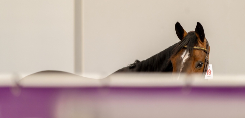 La copertura della Finale di Coppa del Mondo nella bufera etica