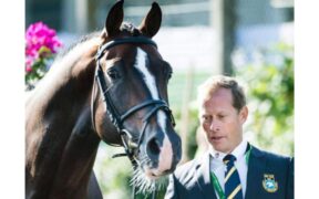 Lo stallone Casall festeggia un quarto di secolo