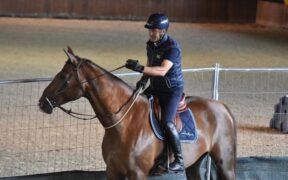 Luca Moneta: “Non metterei mai gli impegni agonistici davanti alla relazione con i cavalli”