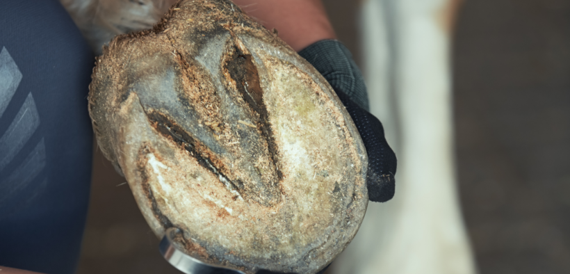 Nuovi sviluppi per le scarpette in 3D