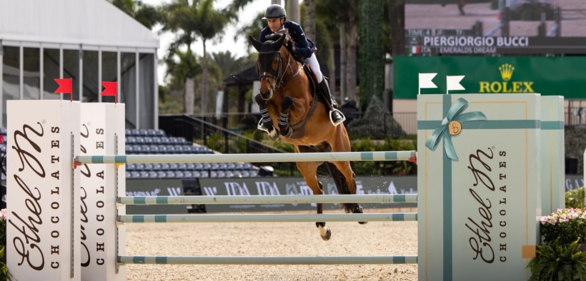 Piergiorgio Bucci al comando nella 145 LR di Opglabbeek (CSI2*)