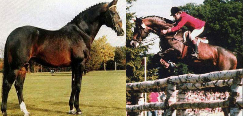 Ramiro Z (G. Ramiro Z)