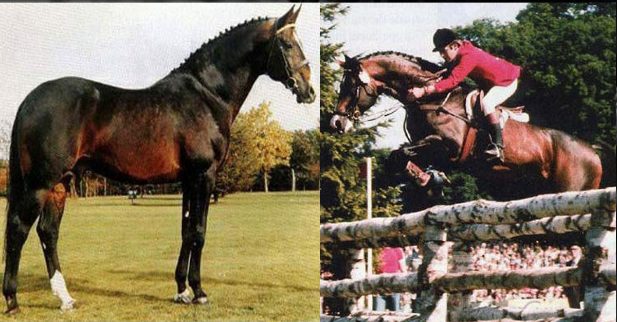 Ramiro Z (G. Ramiro Z)