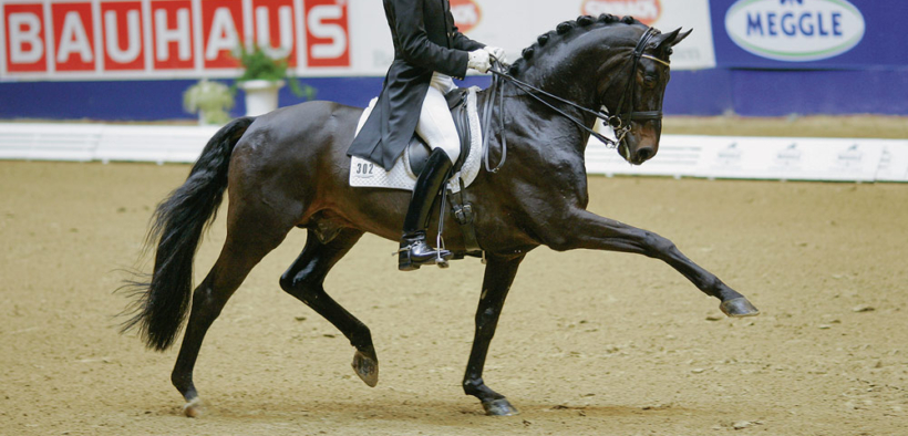 Rubin Royal OLD (Rubin-Royal)