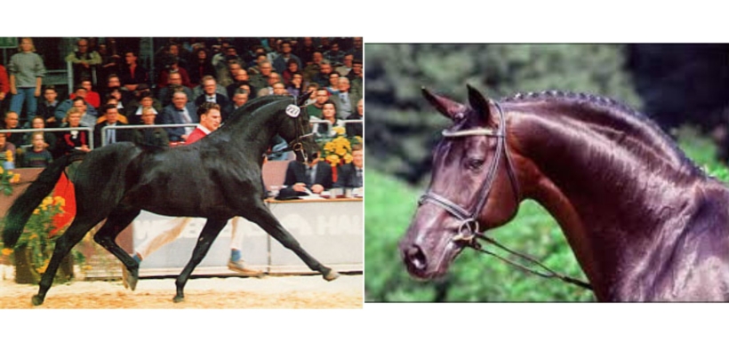 Rubinstein I (Rubistein 4)