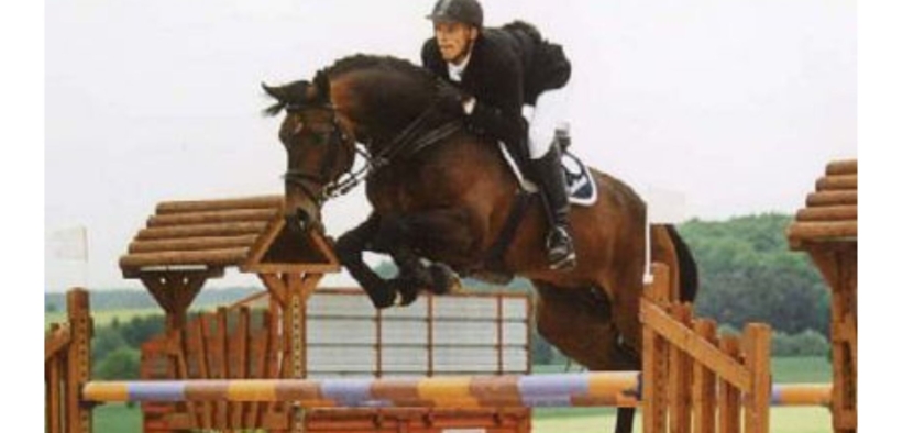 Thunder van de Zuuthoeve