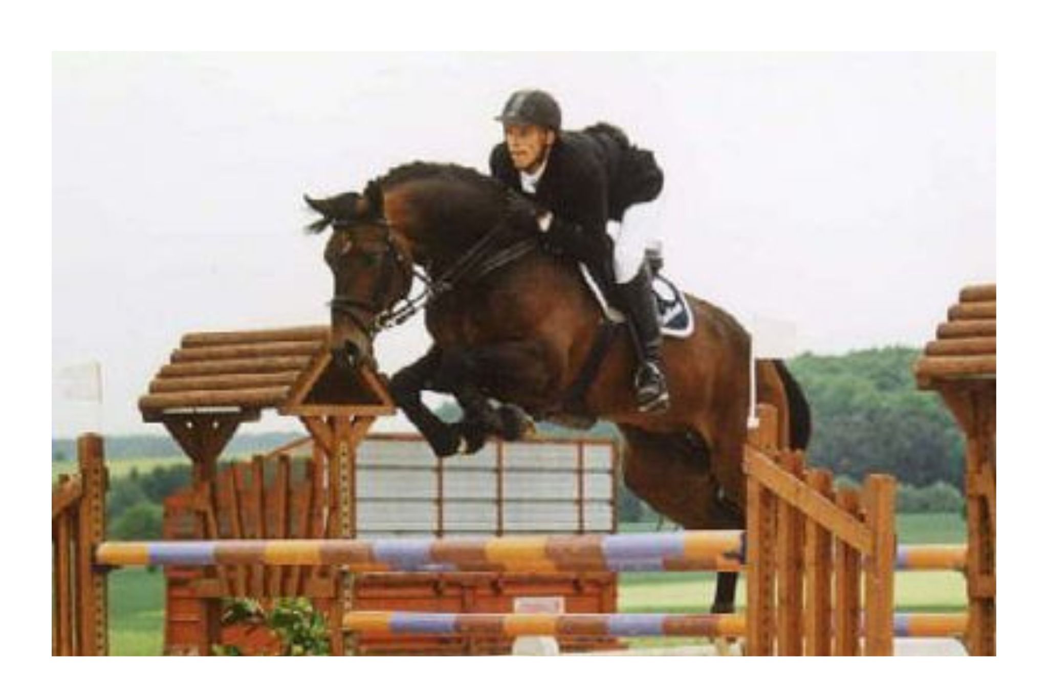 Thunder van de Zuuthoeve