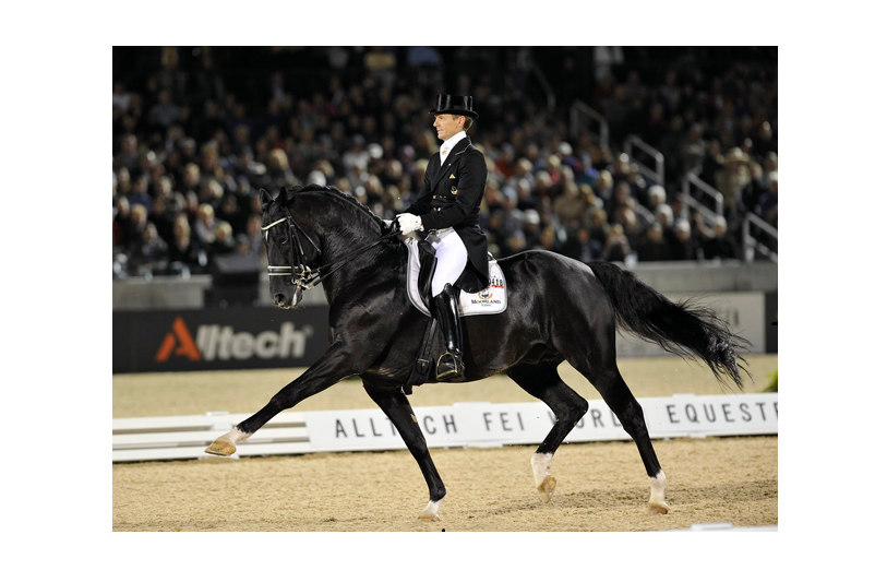 Totilas (Moorlands Totilas)