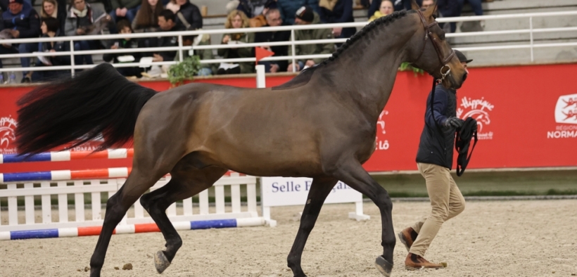 Up To You (GFE Up To You)