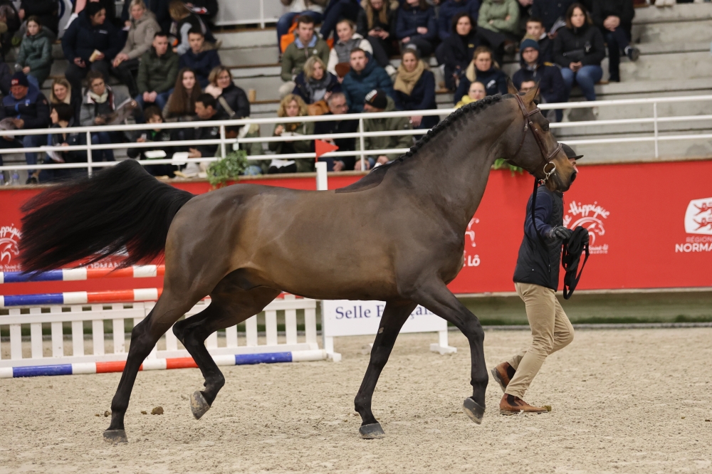 Up To You (GFE Up To You)