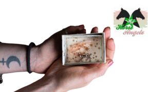 Horse Angels: una nuova vita per tanti equini