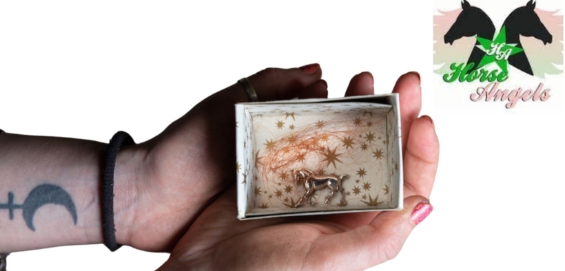 Horse Angels: una nuova vita per tanti equini