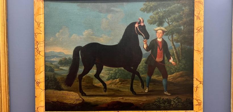 Presentata a Piazza di Siena la mostra: “Questo è Aquilino, figlio del vento”