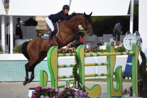 Vagabond de la Pomme 2