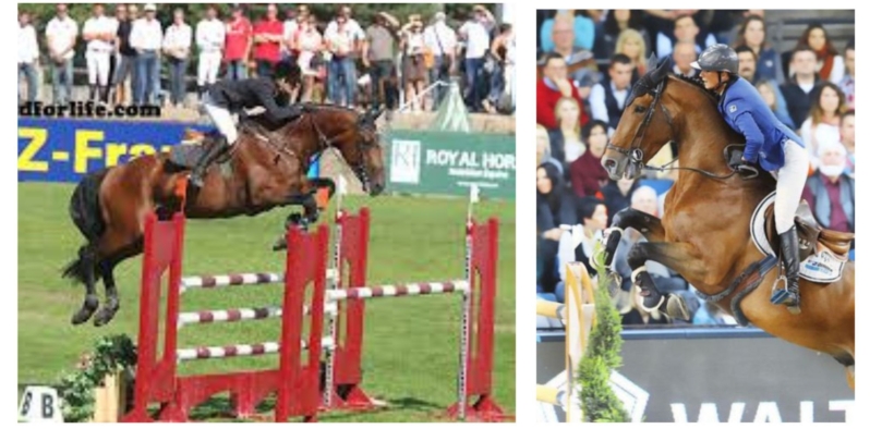 Vagabond de la Pomme