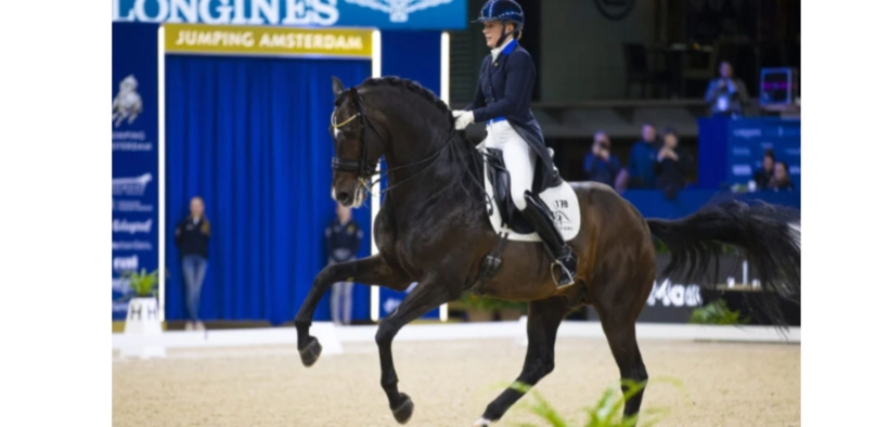 Zack (Zagreb - 95316 - Blue Hors Zack)