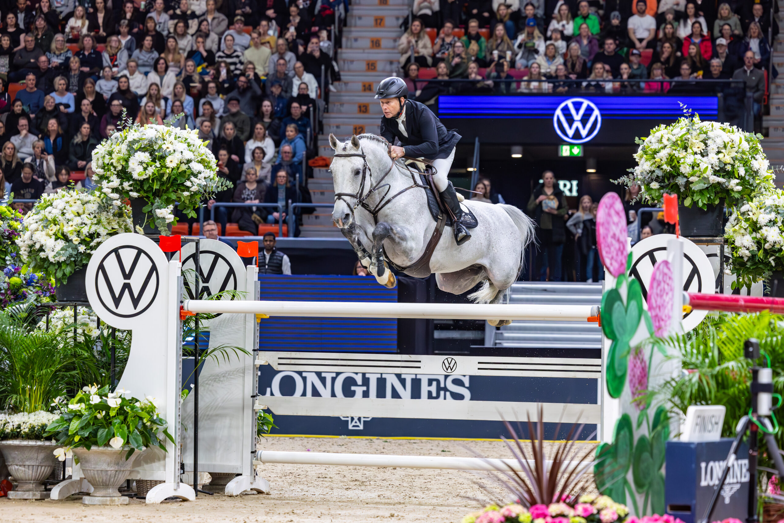 Zuccero HV (Zuccero - Zuccero 5)