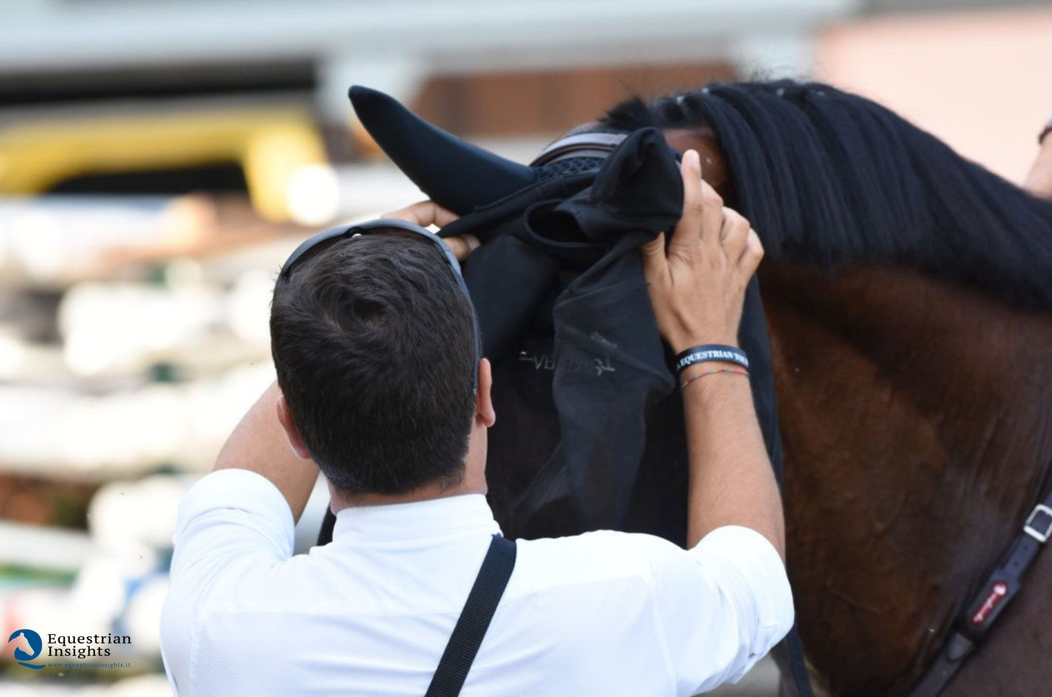 Arriva l'estate: qualche consiglio per combattere alla radice la guerra agli insetti molesti 1