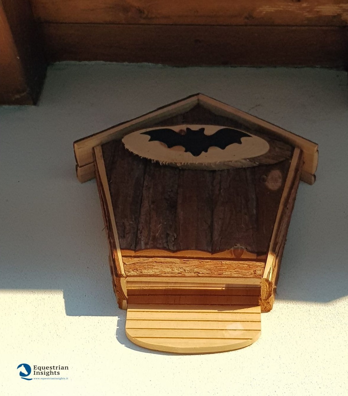 Arriva l'estate: qualche consiglio per combattere alla radice la guerra agli insetti molesti 2