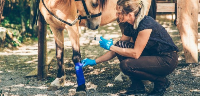 Coldiretti Toscana: corso gratuito per diventare groom