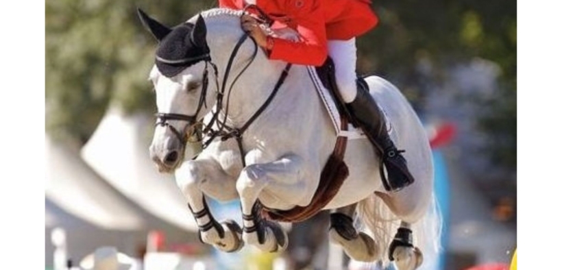 Cornet Obolensky (Windows van het Costersveld - 95203)