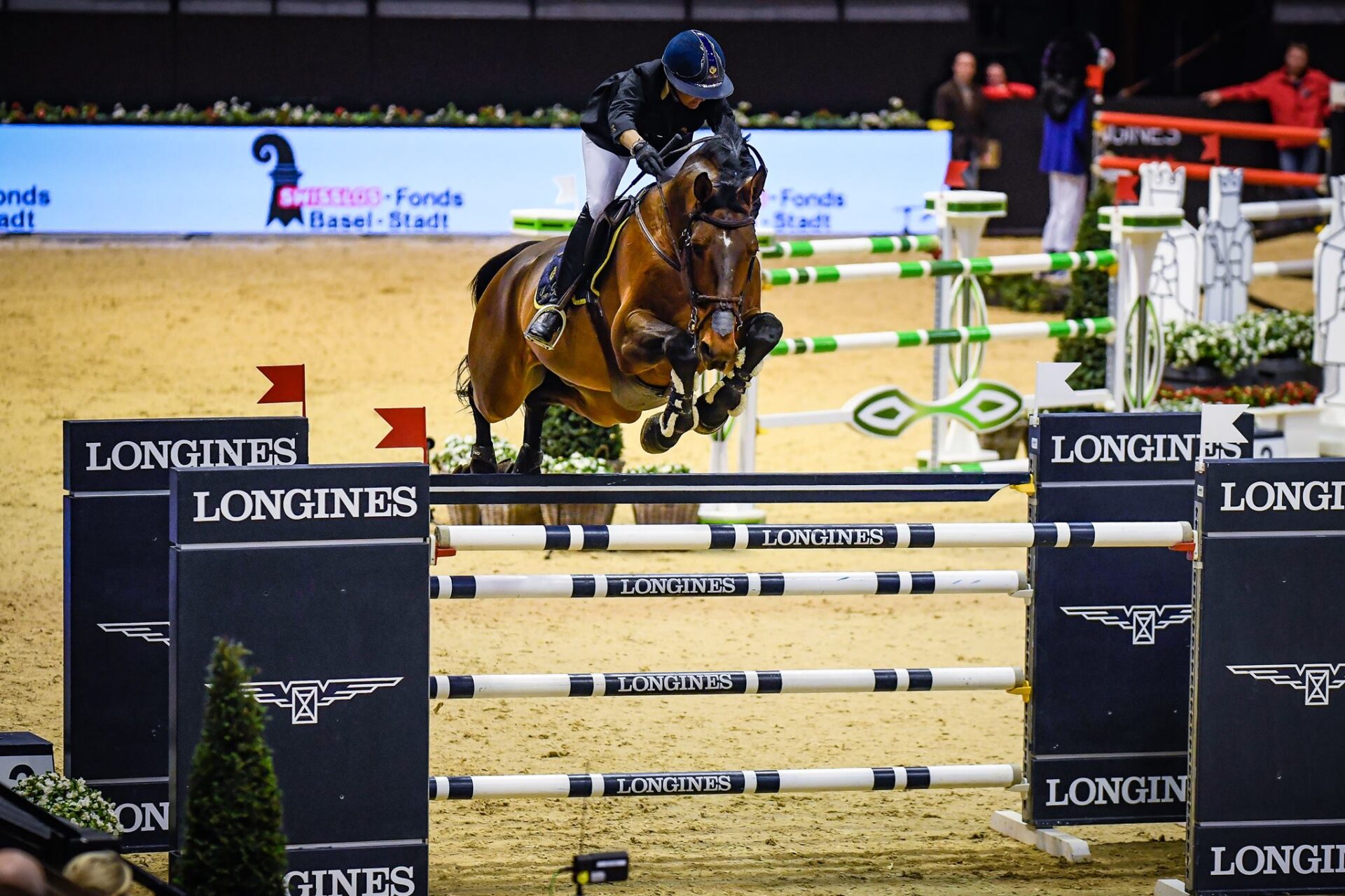 Filou de Muze (Loro Piana Filou de Muze)