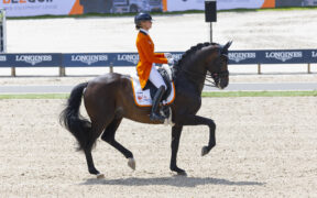 I binomi olandesi di salto e dressage per le Olimpiadi 2024