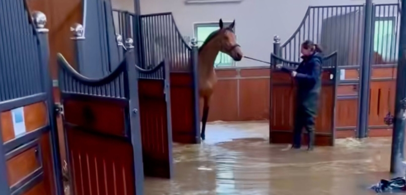 Maltempo: evacuata la scuderia di Simone Blum