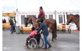 Manifestazioni e cavalli: quali le regole giuridiche da seguire?