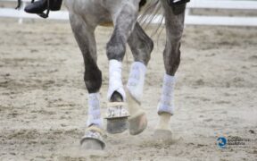 Protezioni (stinchiere / fasce): rischi e benefici da valutare