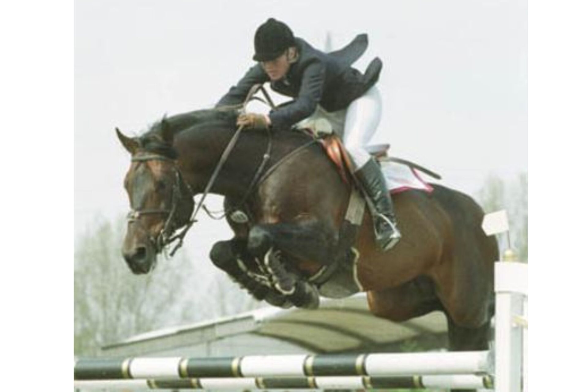 Quick Star (Virtual Village Quick Star)