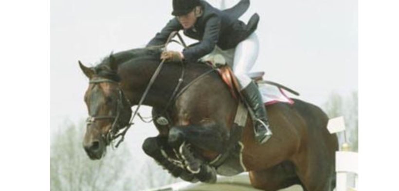 Quick Star (Virtual Village Quick Star)