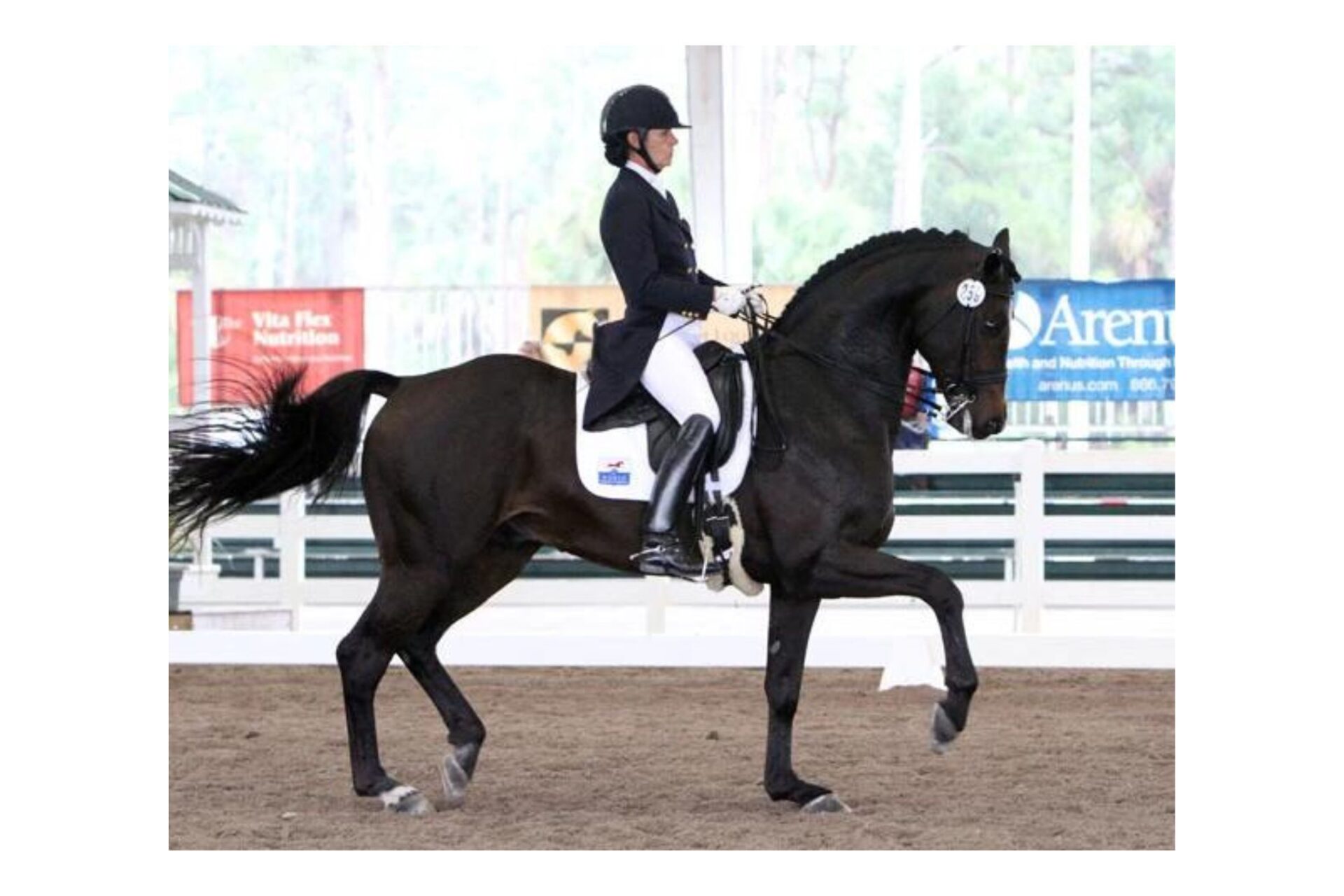 Roosevelt (Roosevelt 37 - Rosevelt)