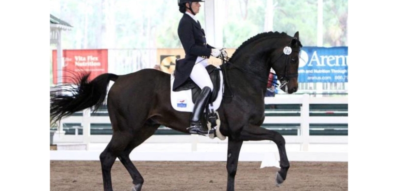 Roosevelt (Roosevelt 37 - Rosevelt)