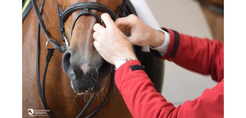 Tutti pazzi per l'equine bit fitter
