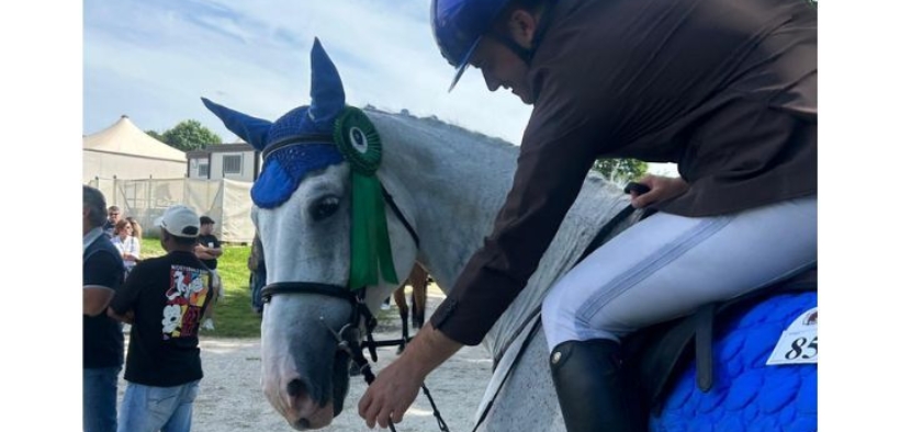 Affaire Antali/Progetto Islander per maltrattamento, il GIP archivia 1