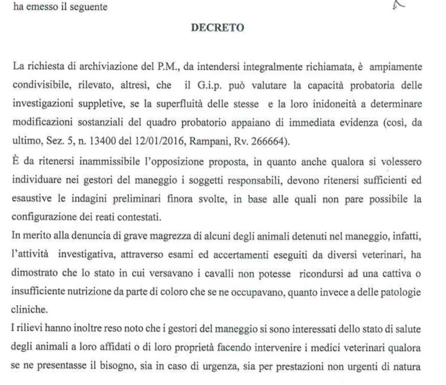 Affaire Antali/Progetto Islander per maltrattamento, il GIP archivia