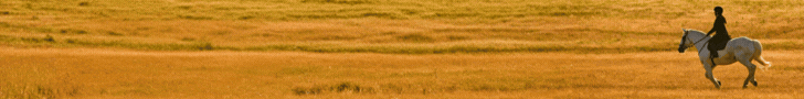 EquiSportMania