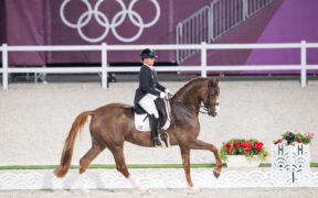 Curiosità sui protagonisti delle discipline equestri a Parigi 2024