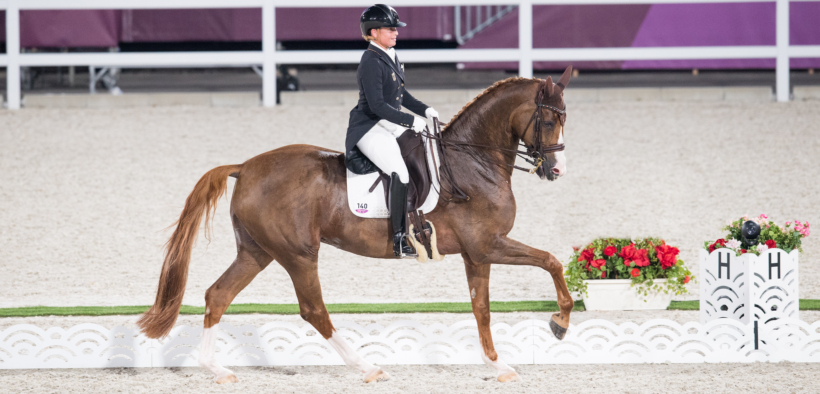 Curiosità sui protagonisti delle discipline equestri a Parigi 2024