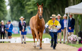 I cavalli da completo sotto i riflettori a Versailles