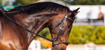 Nuovi studi sulla pressione fornita dalle capezzine