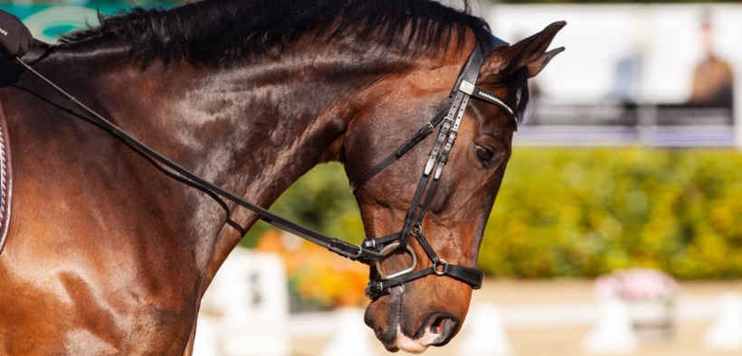 Nuovi studi sulla pressione fornita dalle capezzine
