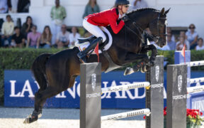 Olimpiadi: ecco il Team Belgio per il Salto