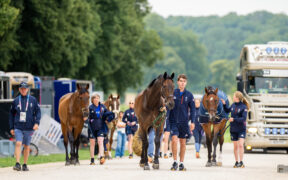 Olimpiadi: i primi cavalli sono arrivati a Versailles