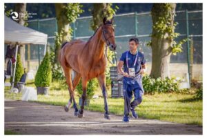 Olimpiadi: il direttore sportivo Girardi ringrazia gli azzurri del Completo 1