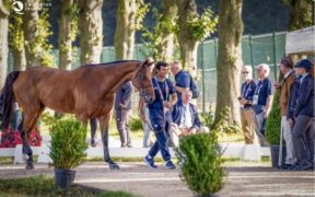 Olimpiadi: il direttore sportivo Girardi ringrazia gli azzurri del Completo