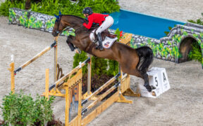 Olimpiadi: il Team USA punta sull'esperienza per Parigi 2024